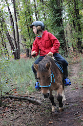 Photo n°14 de Copains des Bois à Sixt-sur-Aff (Centre de loisirs)