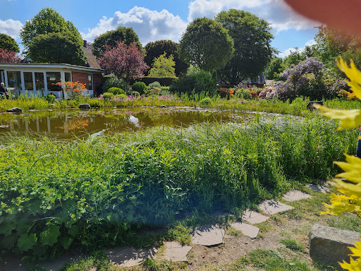 Park an der Mühle - Thumbnail