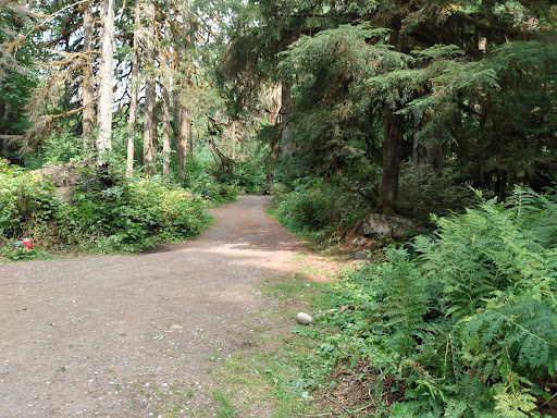 Chocwich Campground