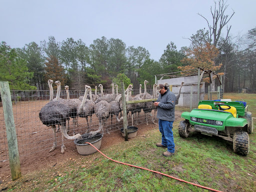 Misty Morning ranch - Thumbnail