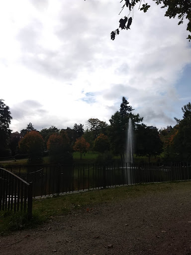 Schillerteich - Visual
