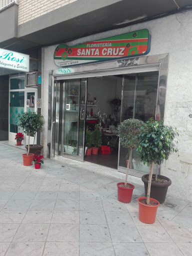 Floristería Santa Cruz
