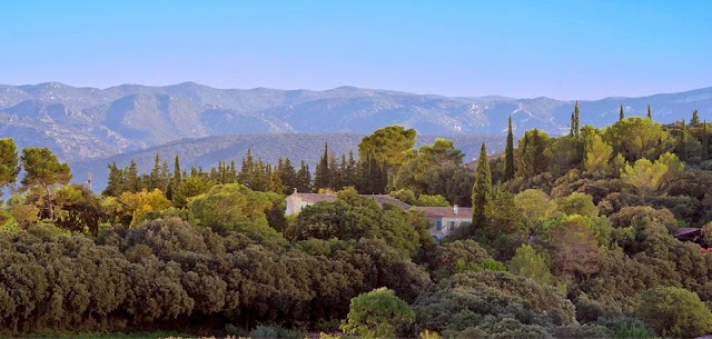 Mas de Daumas Gassac