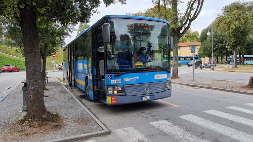 Verdi 3 - Visual