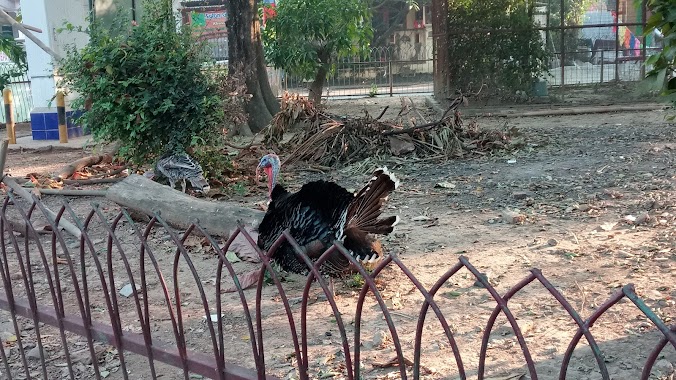 Taman Burung Vila Nusa Indah, Author: Newbie Production