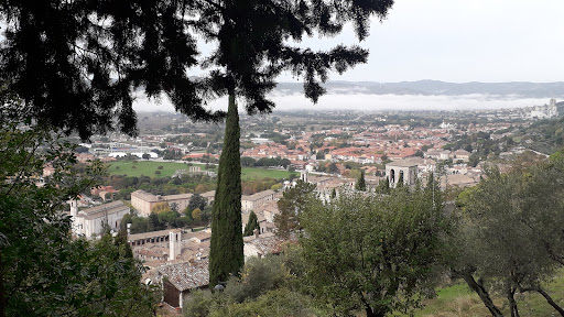 Viaggio in Italia - Thumbnail