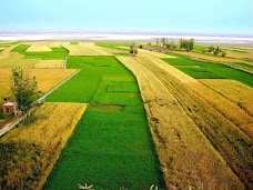 Noor Wala Bus Stop dera-ghazi-khan