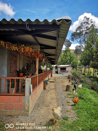 Alojamiento Rural Mirador Samaria San Felix- Salamina-Caldas, palma de cera