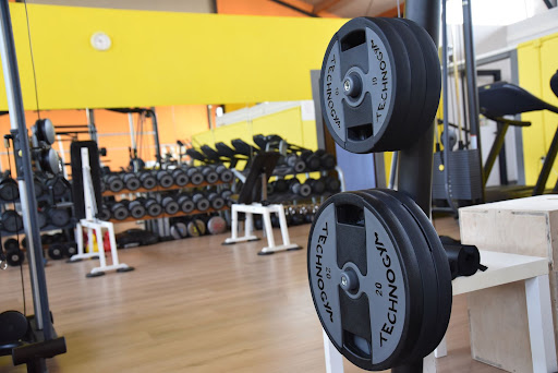 Palestra Kinesis - Thumbnail