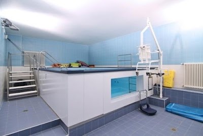 Ifor - Physiotherapy Center Orthopedic rehabilitation