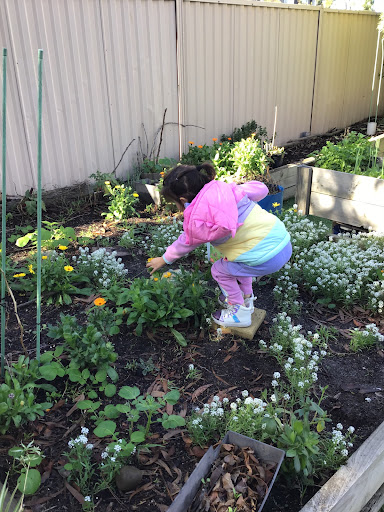 Broadmeadows Early Learning Centre - Visual