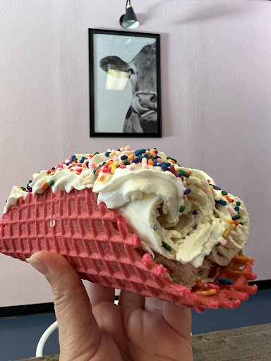 Cold Creamery - Visual