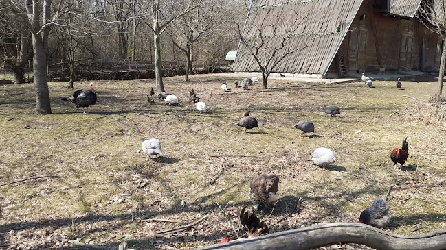 Opinii despre Зоопарк Добрич în Добрич - Строителна фирма