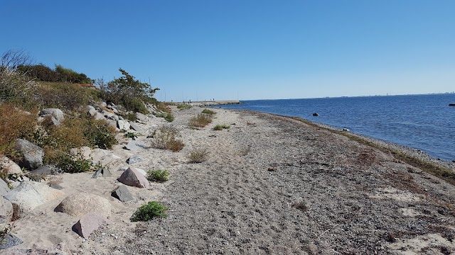 Vikhögs Port