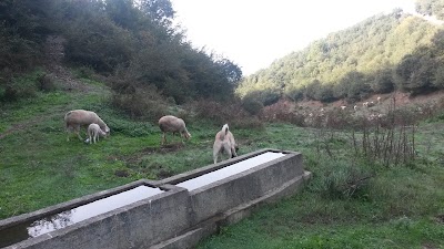 Photos of &Ccedil;eneder the Picnic Area
