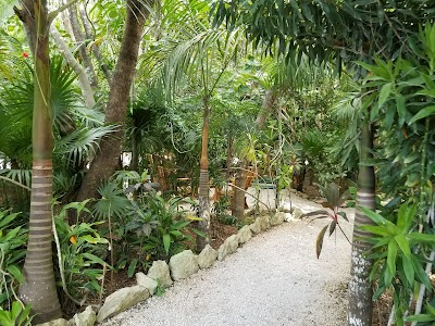 Photos of R&iacute;o Secreto
