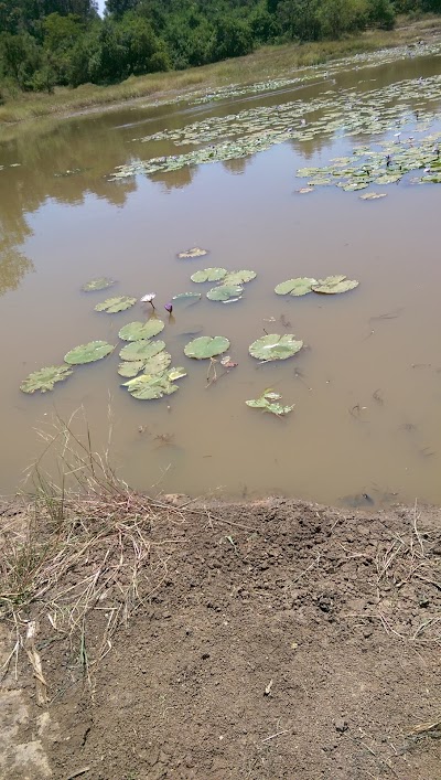 Photos of Inzzu Gardens
