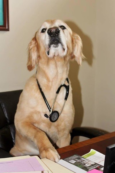 Photos of Toledo Blade Animal Clinic