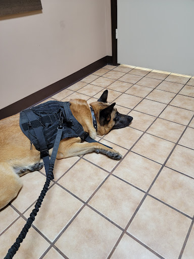 Aldine Mail Route Animal Hospital