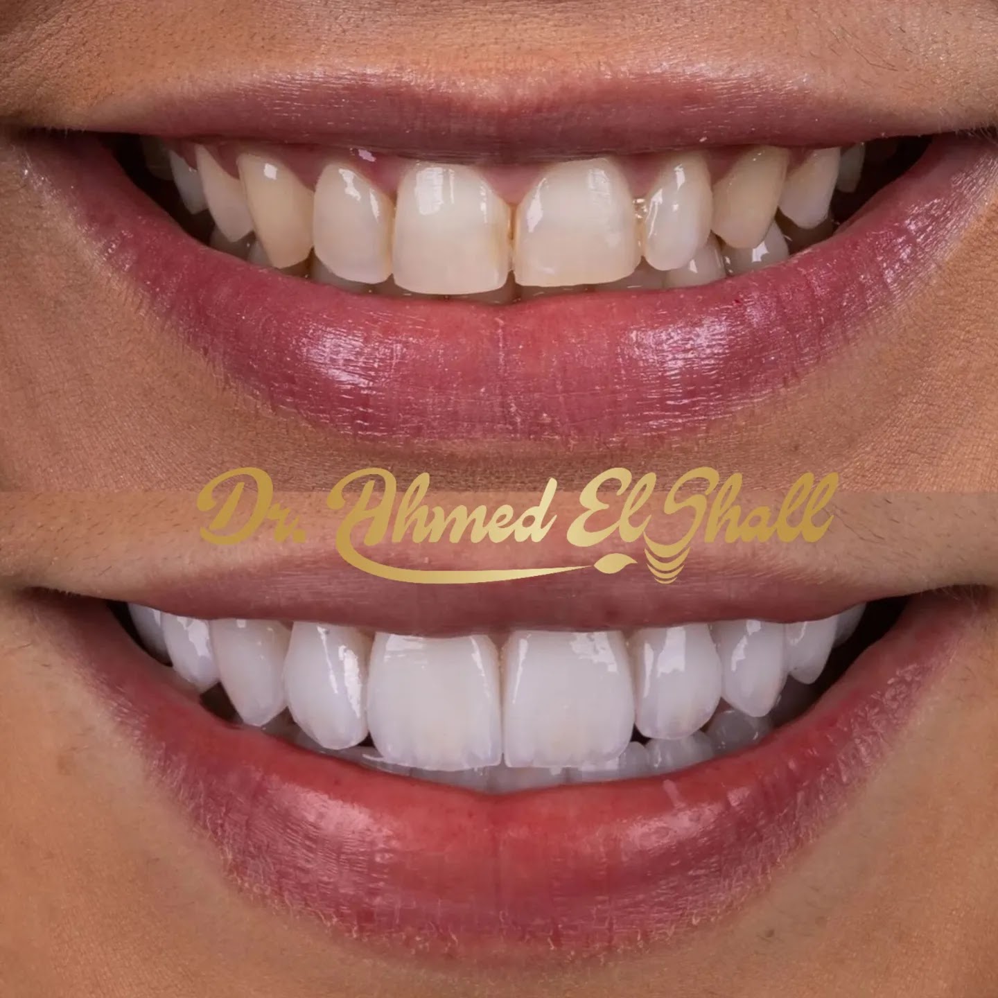 مجمع مجال الاسنان - صورة 4