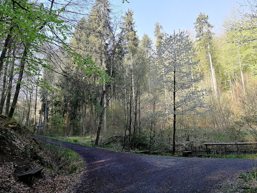 Herrnwald - Visual