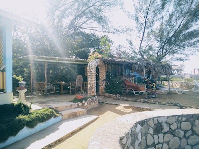 Photos of Banana Shout Resort