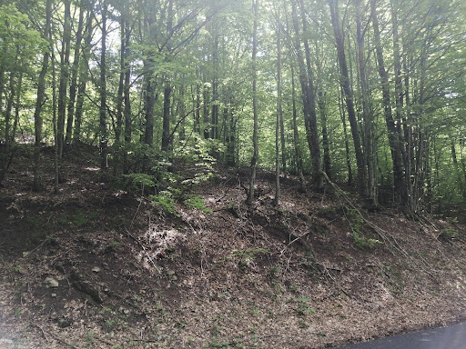 Monte Romezzano - Visual