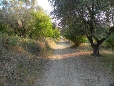 Kisha e Shën Varvarës, Mizë