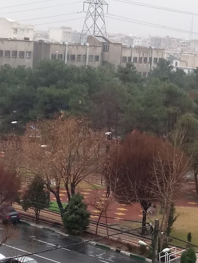 Photos of Somayyeh Park