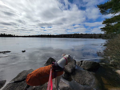 The Bluff Wilderness Hiking Trail (parking lot) - Thumbnail