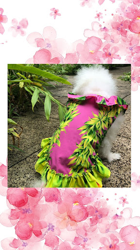 The Island Pooch - Thumbnail