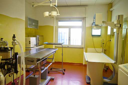 Clivet Veterinary Clinic Vomero