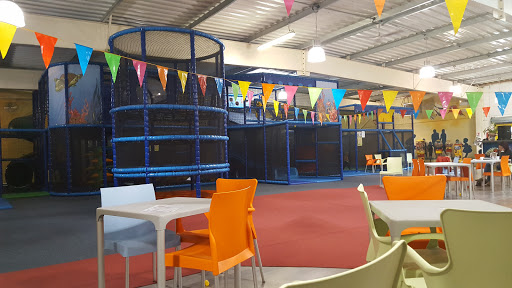 Octopus parc - Thumbnail