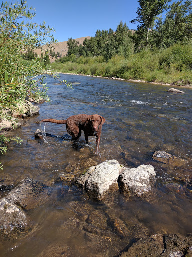 Moosehead Campground - Thumbnail