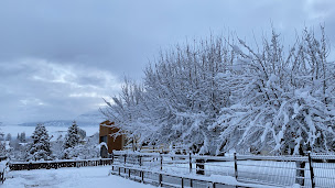 Photo n°6 de VERCORS INNOVADENTAL à Villard-de-Lans (Dentiste)