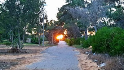 Photos of غابة جوددائم-Joddayem Forest