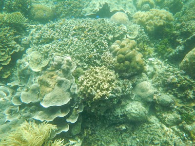 Photos of Pantai Letan