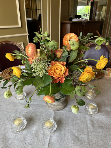Stemmed Designs - Visual