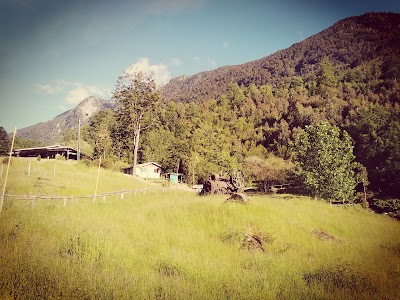 Photos of Termas de Cerrillos