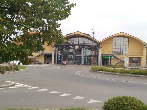 Museum of Champions - Thumbnail
