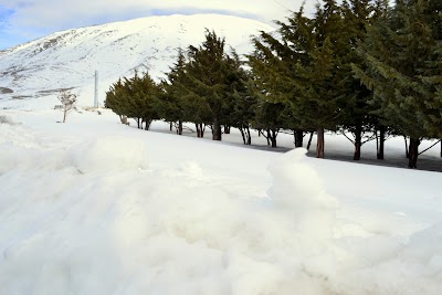 natural-feature