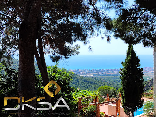 Dksa - Visual