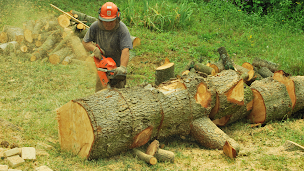 Photo n°4 de S.E.R.F-Magasin de bois de chauffage à Gleizé (Magasin de bois de chauffage)