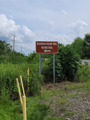 Maurepas Swamp Wildlife Management Area Nature Trail - Thumbnail