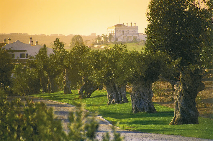 Herdade dos Grous by null