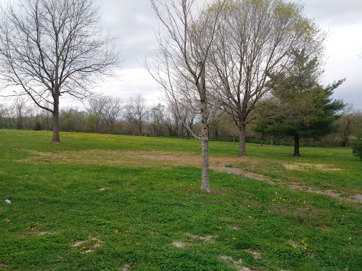 Matney Park - Thumbnail