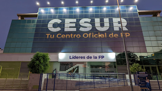 CESUR Murcia Lago Formación Profesional C. de Molina de Segura, 8, 30007 Murcia, España