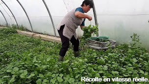Photo n°2 de Ferme Larqué à Assat (Maraîcher)