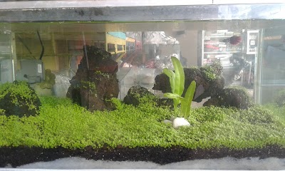 Photos of Toko Aquarium Wahyu