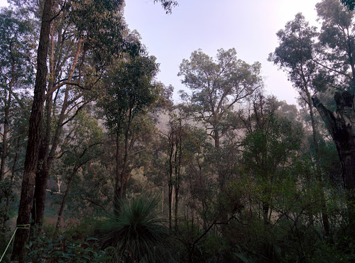 Charlies Flat - Thumbnail